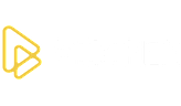 Vidiren